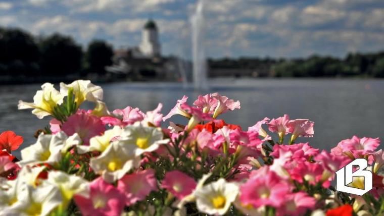 В Выборге вновь собираются благоустраивать дворы