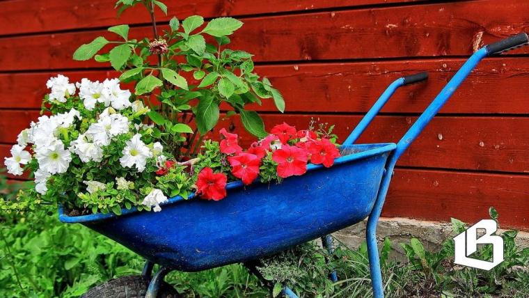  Областные СНТ могут благоустроить свои территории за счет субсидий