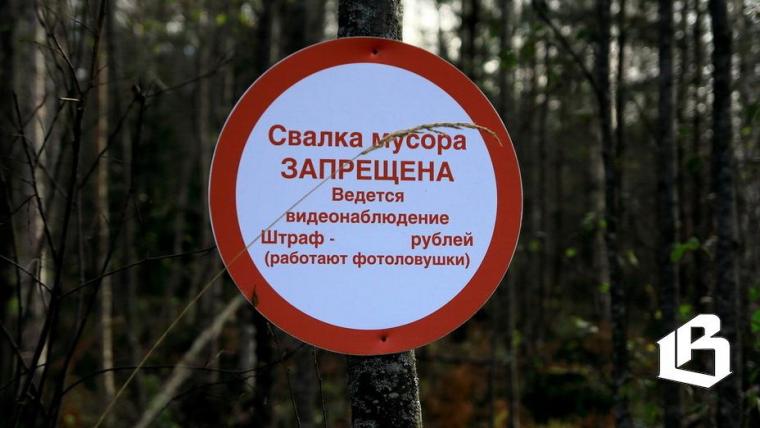 В Ленобласти началась установка камер слежения за свалками