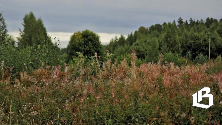 Выборгский КУМИГ не торопится рассматривать земельные вопросы