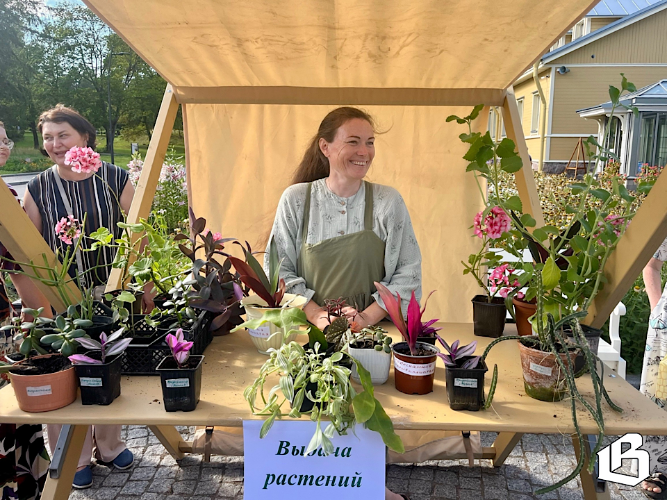 Садоводы и романтики: как прошел Цветочный обмен в Монрепо