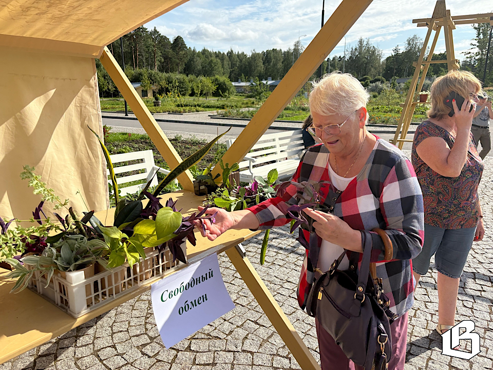 Садоводы и романтики: как прошел Цветочный обмен в Монрепо