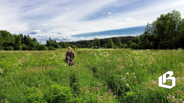 Не расслабляемся: клещи в Ленобласти по-прежнему активны