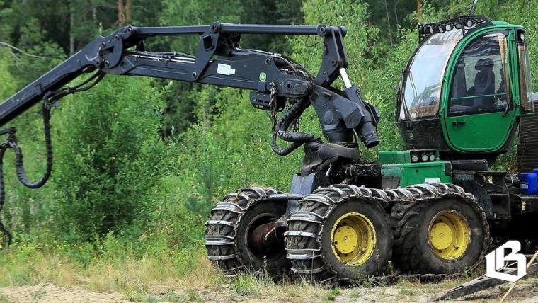 Дело о хищении леса в Выборгском районе направлено в суд