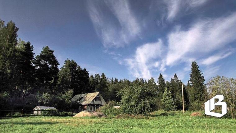 В следующем году в Ленобласти проведут тотальную кадастровую оценку земель