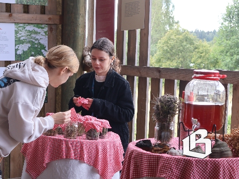 Двухдневный семейный фестиваль собрал сотни гостей