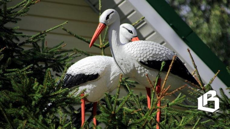 Эксперимент по гостевым домам стартовал в Ленобласти
