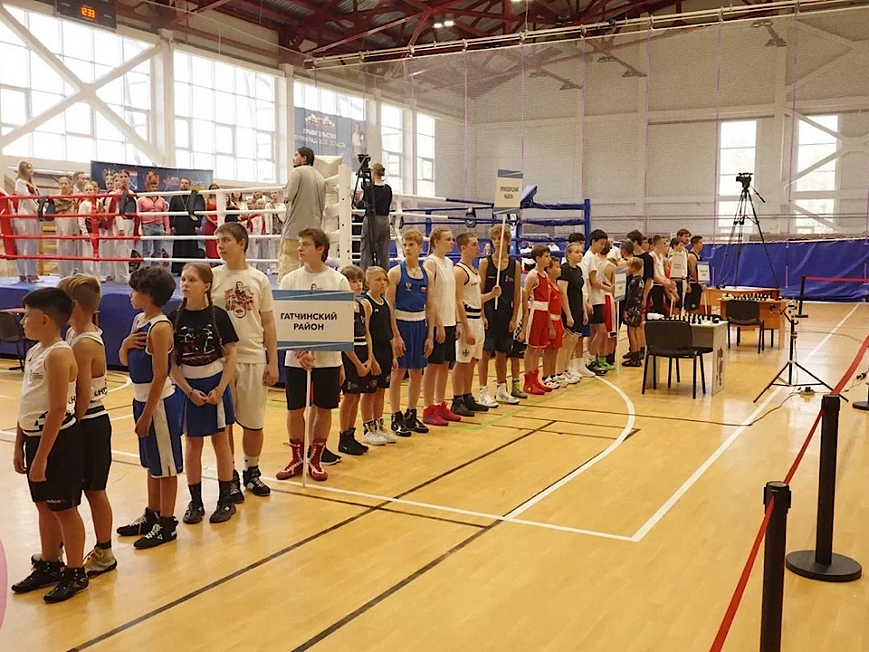 И бокс, и шахматы