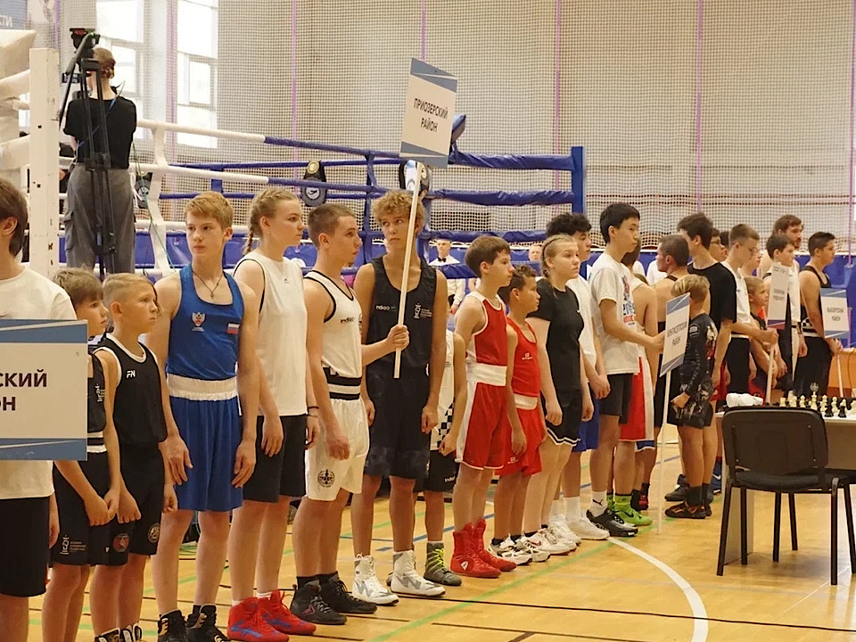 И бокс, и шахматы