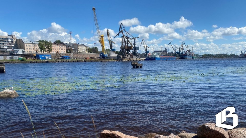 О чём должны знать, но не знают выборжцы