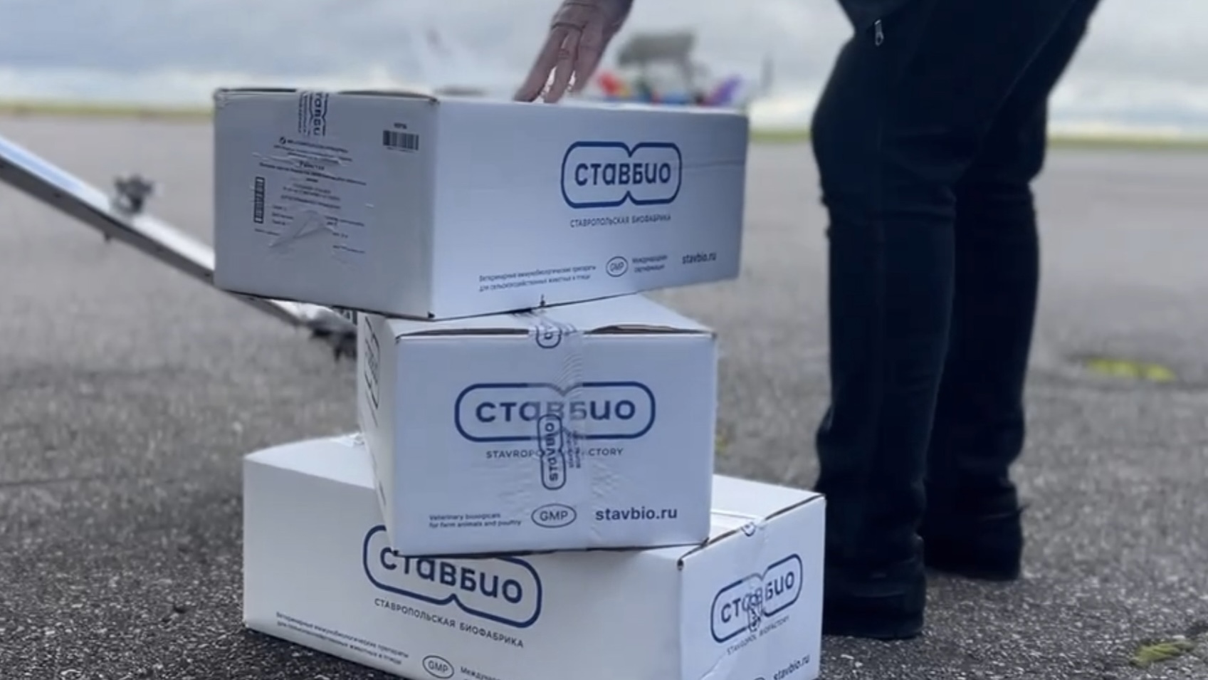 Леноблэпизоотряд распространяет вакцину против бешенства 