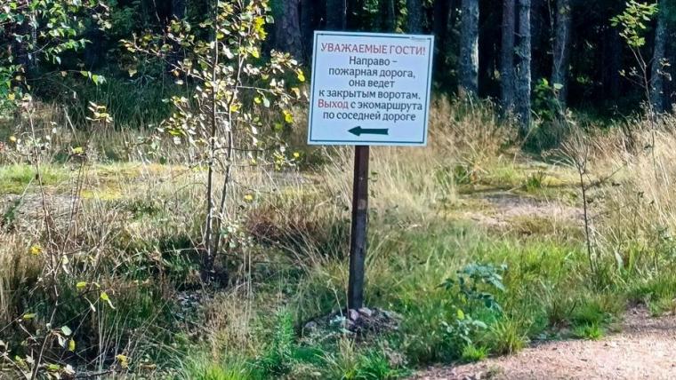 В музее-заповеднике «Монрепо» обустраивается пожарный проезд