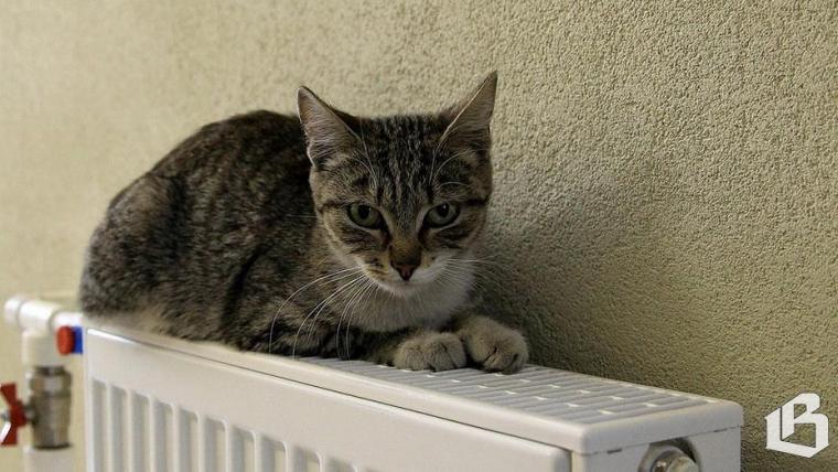 В Выборгском районе стартовал тотальный отопительный сезон