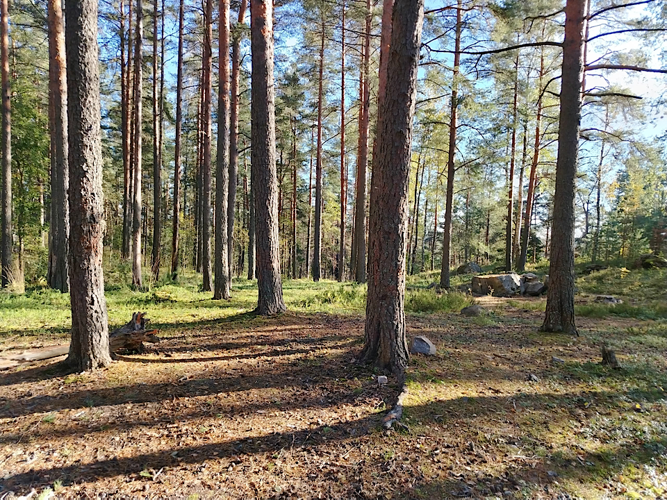 В Каменногорске стартовал новый проект «Бюро добрых дел»
