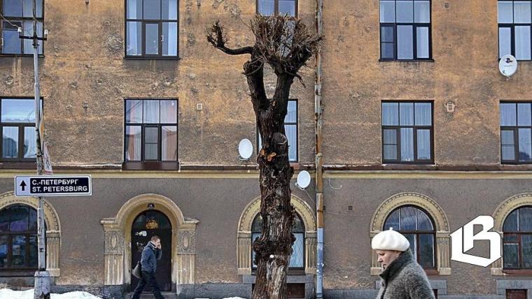 Выборгской «управляйкой» заинтересовалась прокуратура