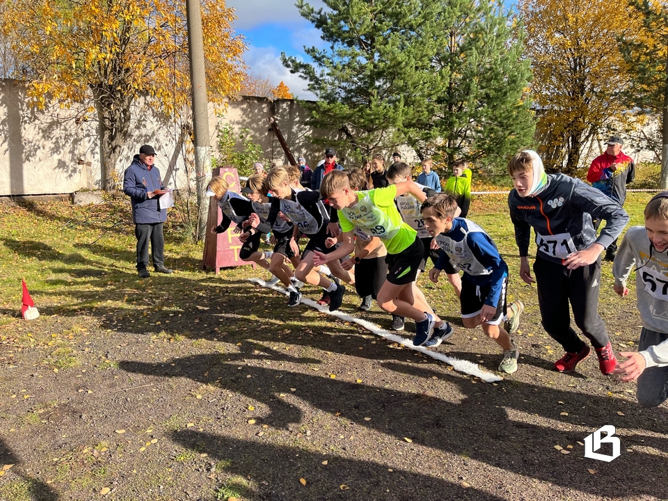 Папульский парк в Выборге принял легкоатлетов