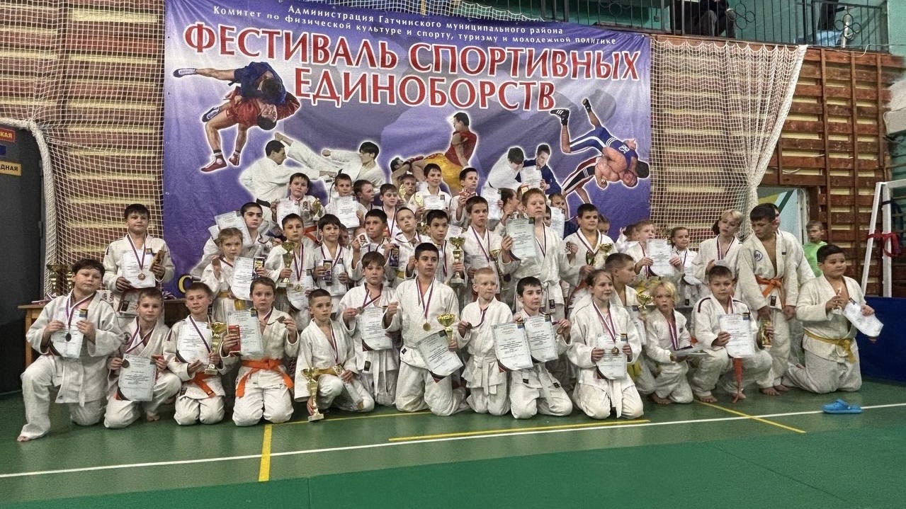 Выборжцы успешно выступили на гатчинском татами