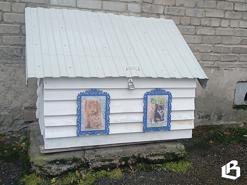 В Выборге рядом с многоквартирным домом появился домик для кошек