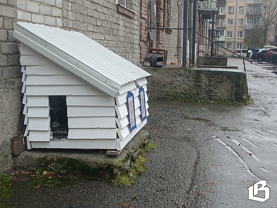 В Выборге рядом с многоквартирным домом появился домик для кошек