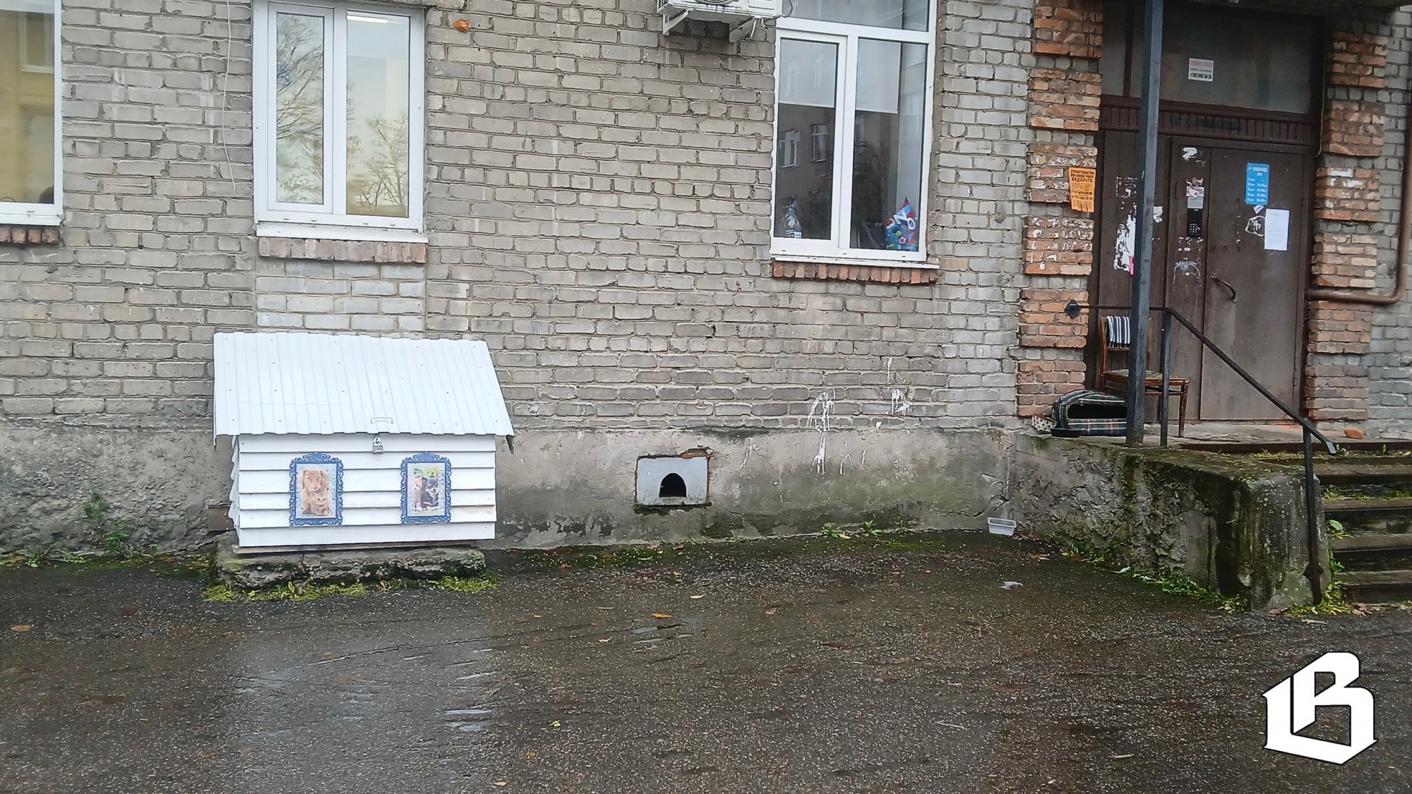 В Выборге рядом с многоквартирным домом появился домик для кошек