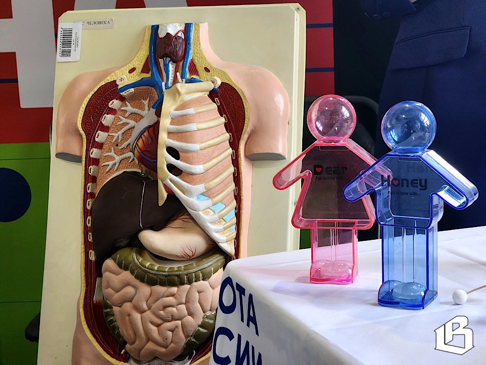 Нынешние школьники — будущие специалисты: в Выборге прошла ярмарка профессий