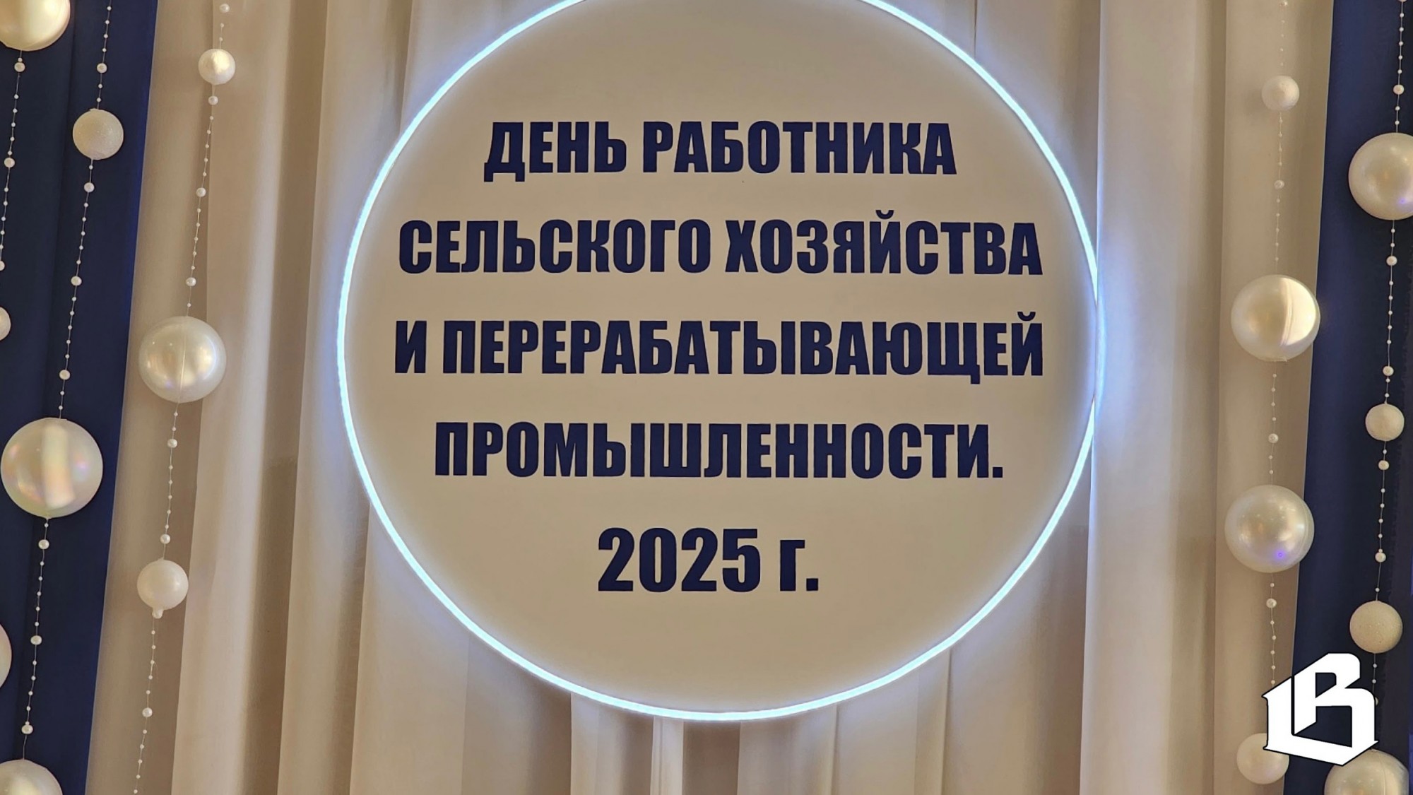 В День работника сельского хозяйства отметили не только лучших сотрудников, но и эффективную работу региона 