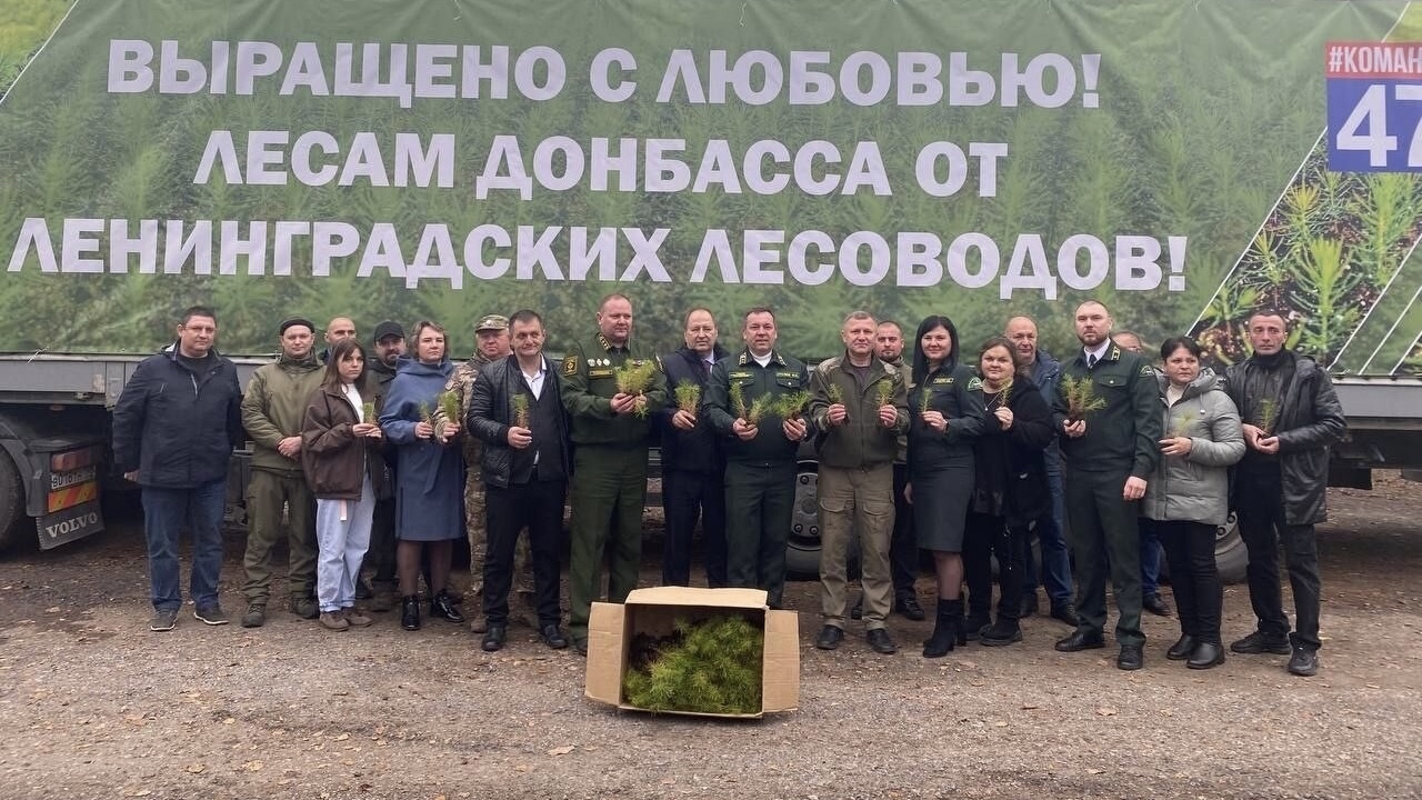 Ленобласть отправила 740 тысяч саженцев на Донбасс