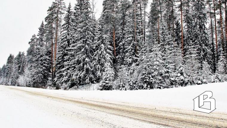 В Ленобласти работает Снежный штаб