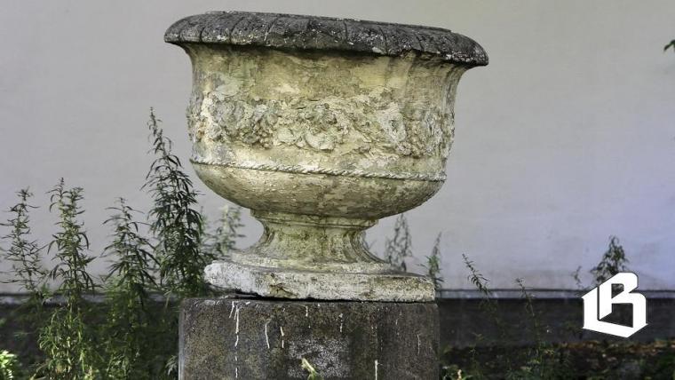 В Выборгском районе выбирают общественные территории для благоустройства