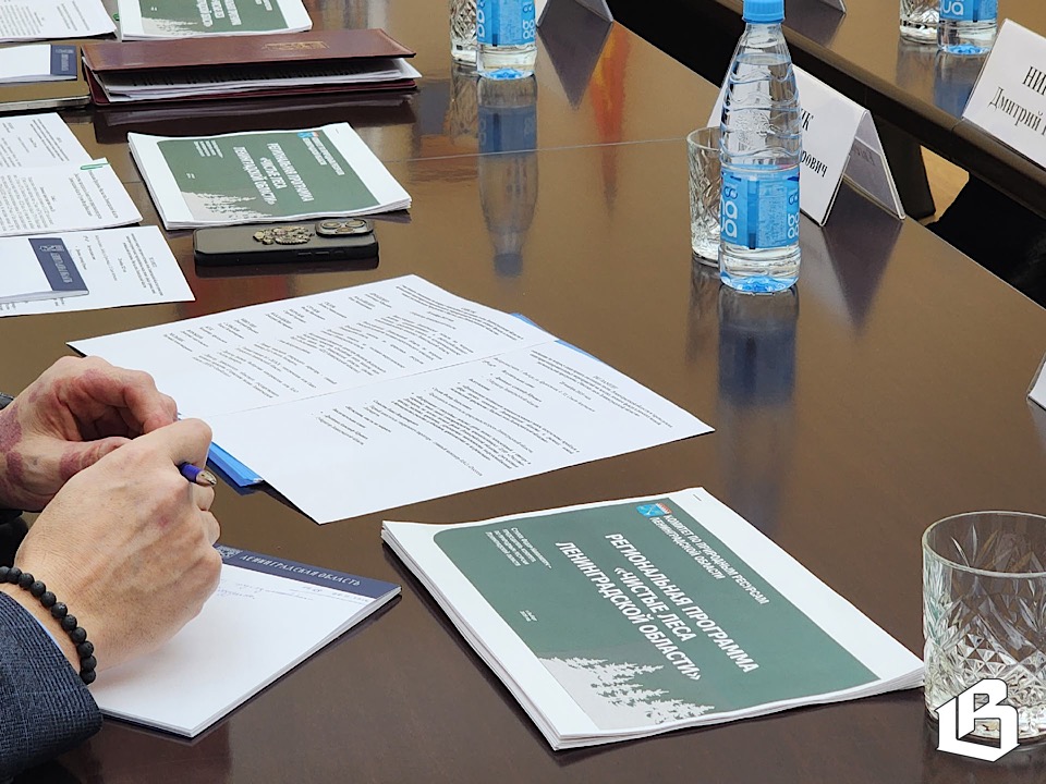 Следующие 5 лет общими усилиями работаем над программой «Чистый лес»