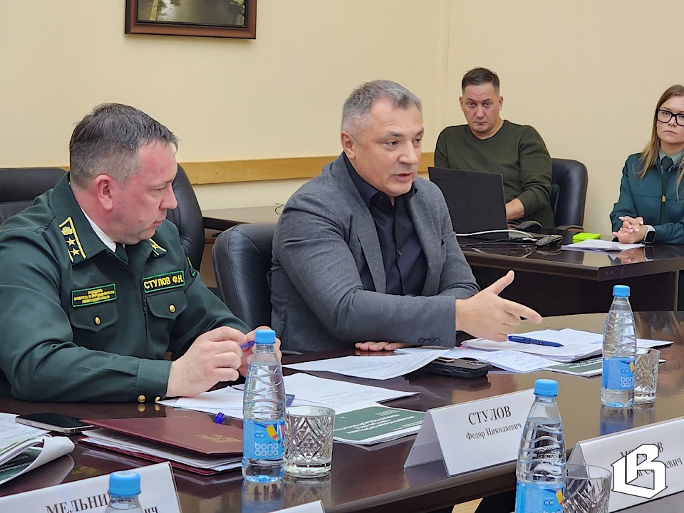 Следующие 5 лет общими усилиями работаем над программой «Чистый лес»