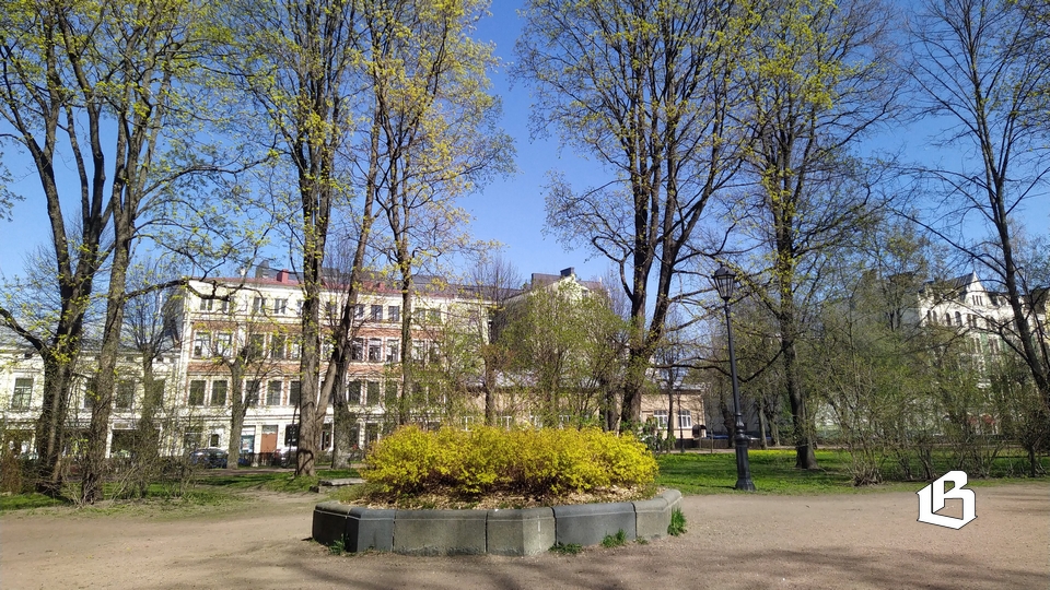 Рубить или не рубить - уже не вопрос