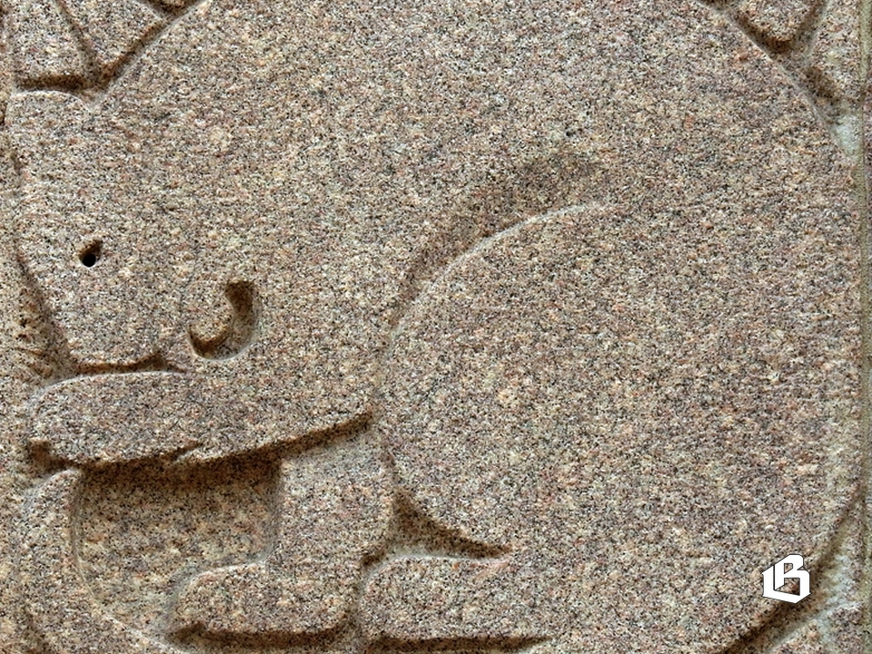 Готовится к изданию новая книга, посвященная Выборгу