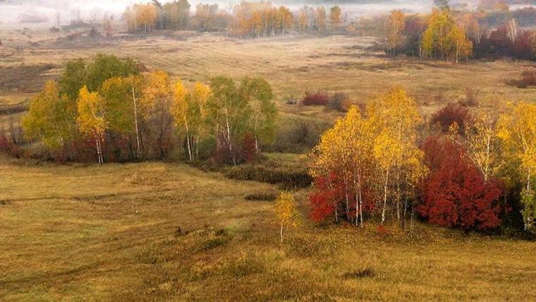 Земельные участки ветеранам СВО предоставят в Ленобласти по-новому