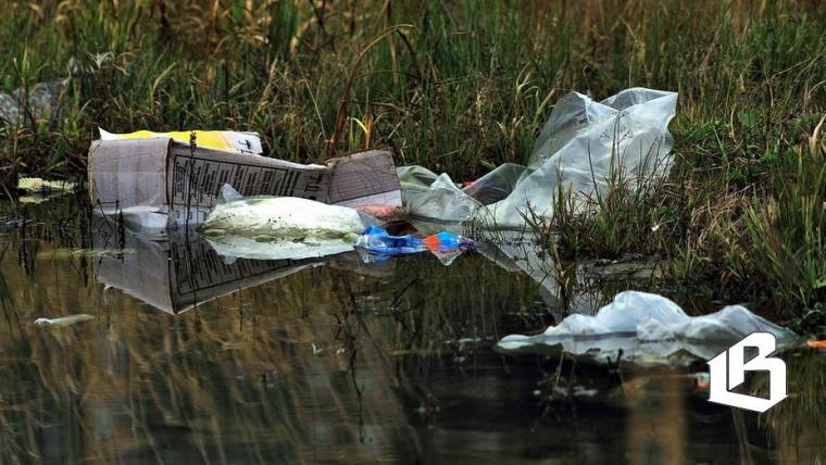 В России возросли штрафы за загрязнение водоемов