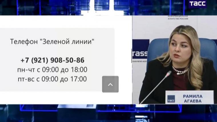 В Ленобласти стартовала ёлочная кампания, идёт подготовка к программе «Чистые леса»