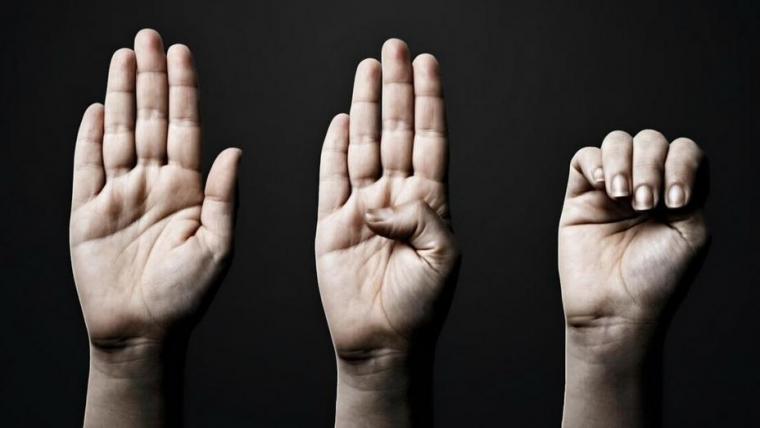 «Госуслуги» запустили новую опцию в разделе «Жизненная ситуация»