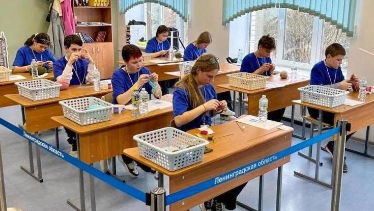 Размер вознаграждения призеров «Абилимпикса» вырос в два раза