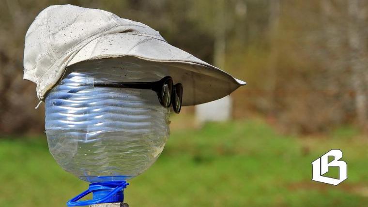 В Ленобласти прошел семинар для садоводов и огородников