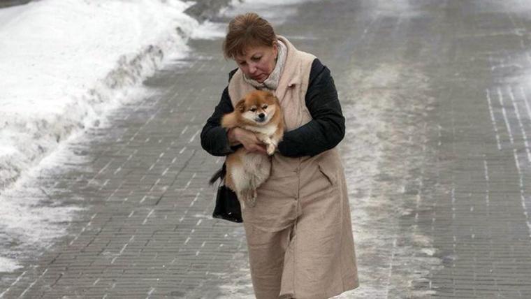 В Выборге собирают подписи против ядовитых реагентов