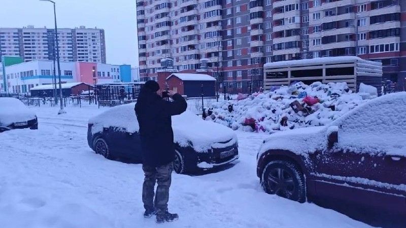 «Зелёный дозор»: экологи Ленобласти работают без выходных