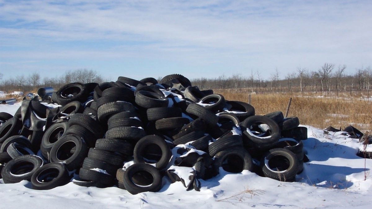 Свалки под контролем: новые санкции в Ленобласти