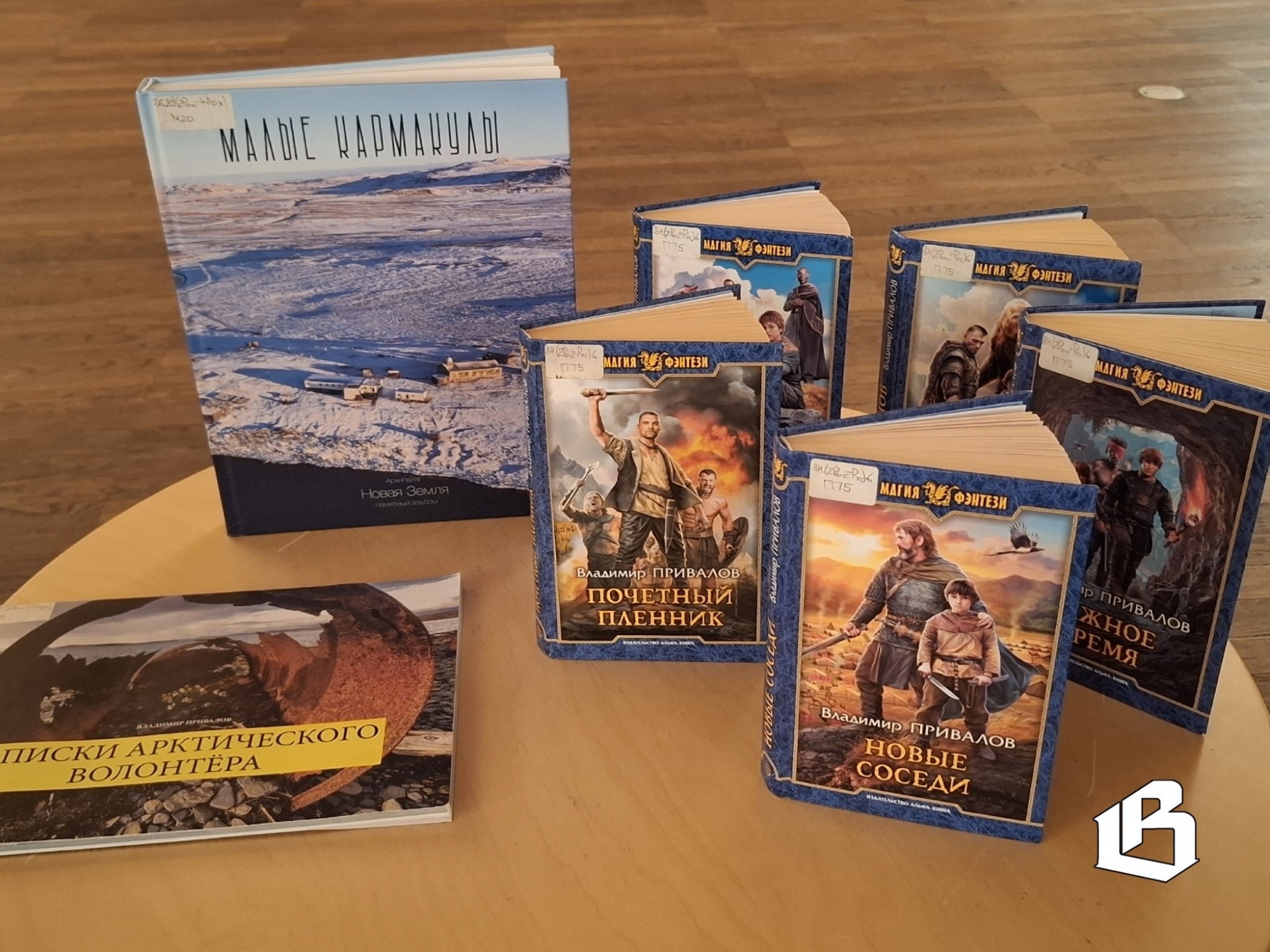 В Выборге открылась выставка фоторабот об Арктике