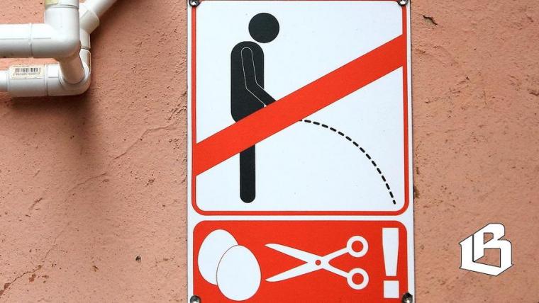 В Госдуме напомнили регионам о необходимости «зеленых остановок»