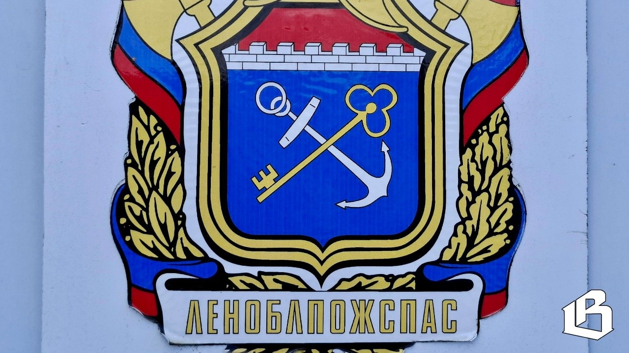 За неделю с 12 по 18 января в Выборгском районе минус баня, автомобиль и сарай