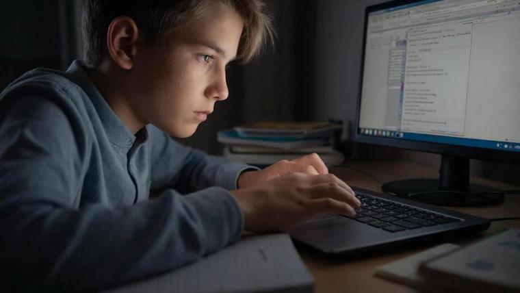 Минпросвещения собирается запретить публикацию готовых школьных заданий в Интернете