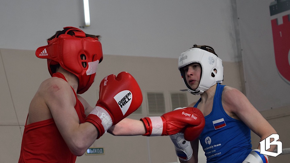 Выборгские юноши и девушки старшего возраста — лучшие боксёры 47 региона