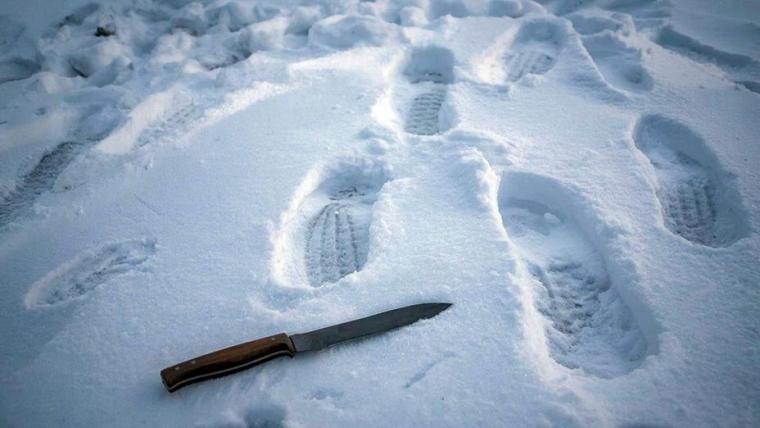 В Выборге задержали подозреваемого в убийстве