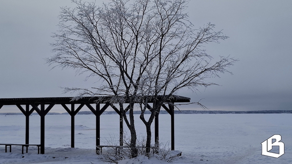 Экоактивисты Ленобласти получили поддержку Президентского фонда природы