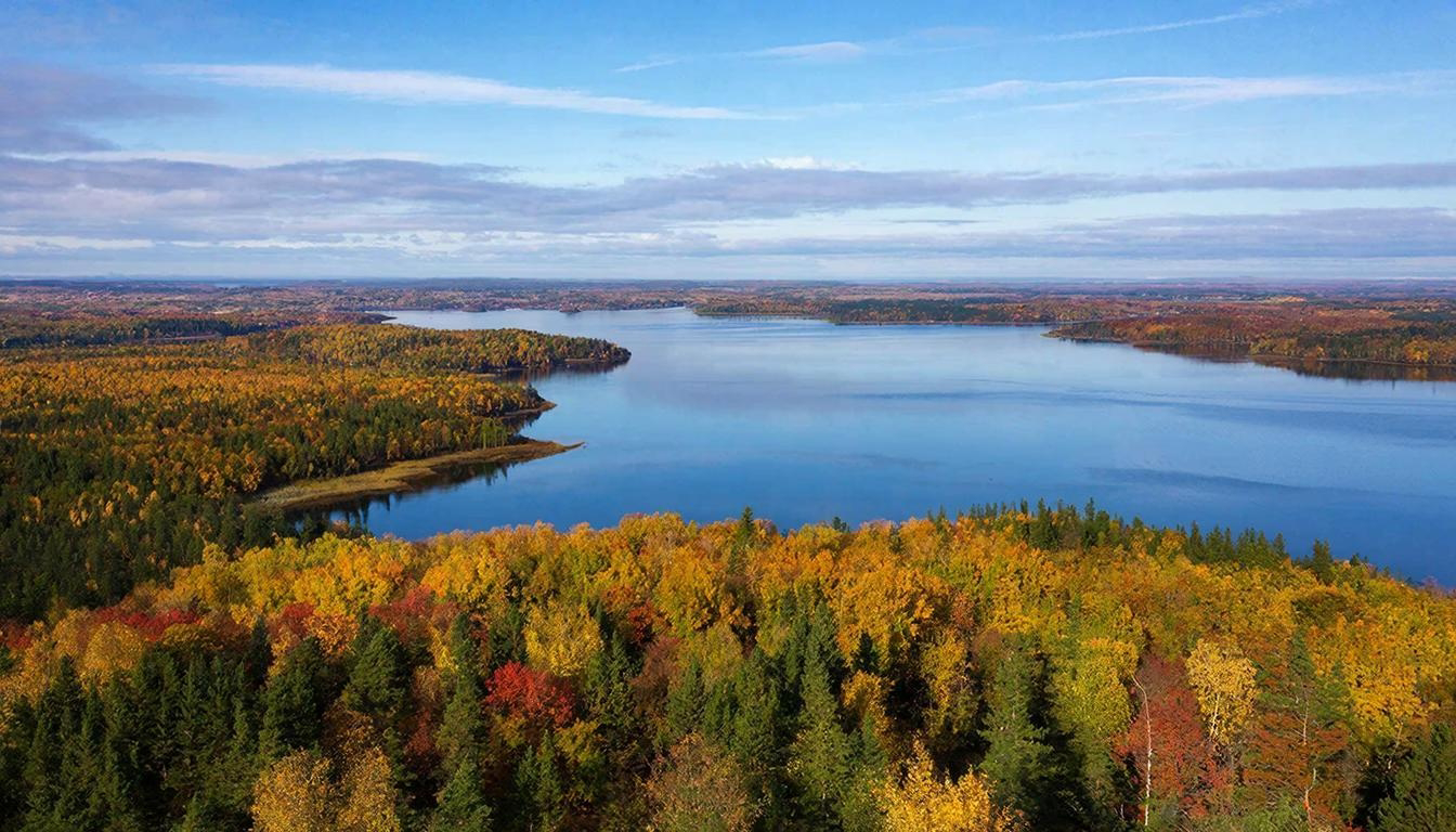 «Чистая Ладога» в действии